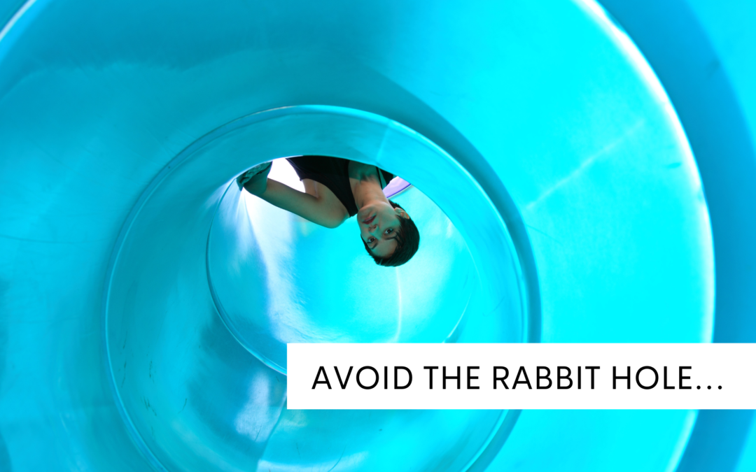 So You Want a Productive and Positive 2024? Avoid “The Rabbit” Hole.